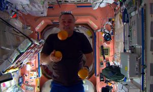 Астронавты с МКС показали космический цирк