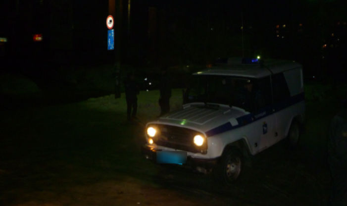 Неадекватный житель Петербурга забросал полицейских строительной плиткой 