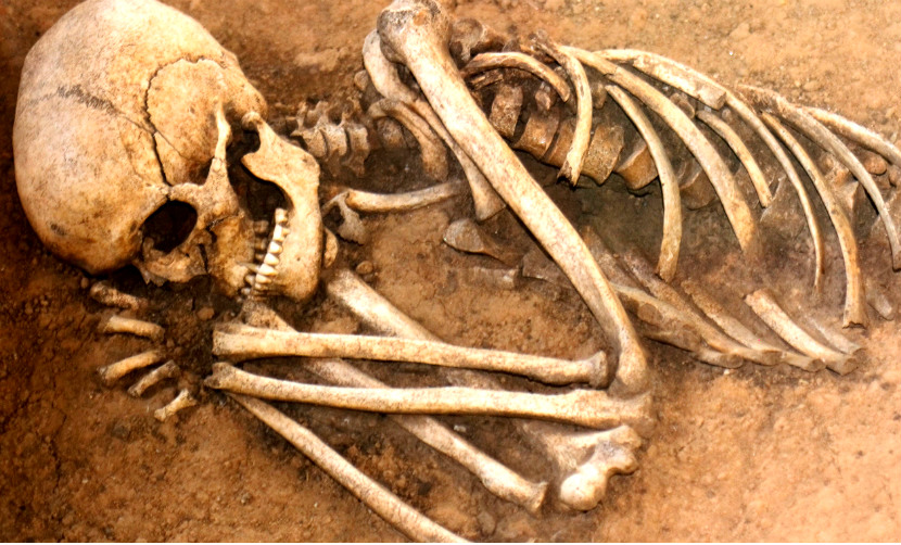 Человеческие скелеты обнаружены во дворце президента Афганистана 