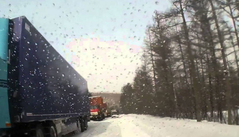 В Приамурье снегопад повалил деревья на нескольких дорогах 
