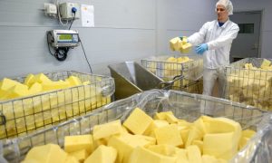 Россельхознадзор опроверг новость о том, что 78% сыра в России - фальсификат