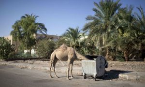 Шарм-эль-Шейх превратился в город-призрак, - туристы