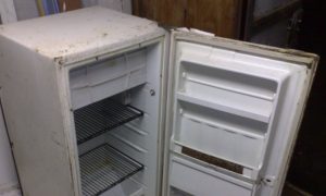 Продавщица с Урала заморозила новорожденного сына в холодильнике