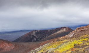 В Тихом океане неподалеку от Курильских островов произошло землетрясение