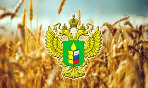 Минсельхоз РФ не боится отказа Турции от российского зерна