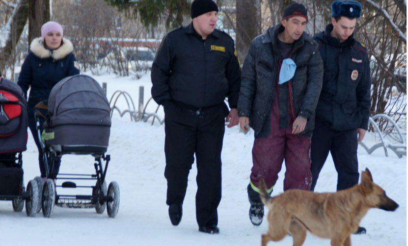 Мужчина с говорящей собакой угрожал устроить теракт в институте Сыктывкара 