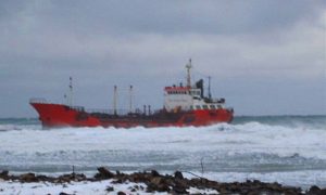 Экологическая катастрофа произошла на Сахалине из-за разлива топлива в море