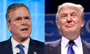 Буш назвал своего конкурента по президентской гонке Трампа «ничтожеством»