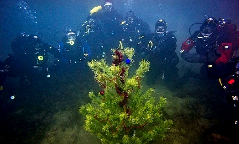 Наряженную елку установили на 7-метровой глубине бухты в Приморье 