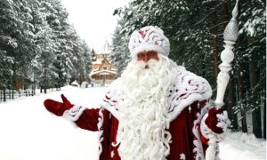 Дед Мороз отправился зажигать огни на 44 новогодних ёлках России