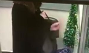 Опубликовано видео похищения женщиной новогодней елки из Сбербанка России