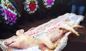 Мертвую свинью в гробу принесли к Верховной раде протестующие