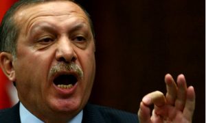 Финские курды наказали чучело Эрдогана