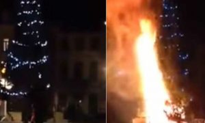 В Брюсселе мигранты подожгли рождественскую елку