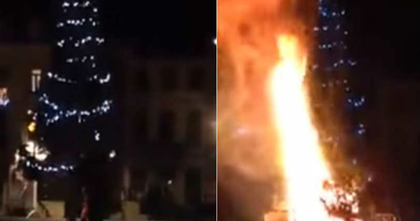 В Брюсселе мигранты подожгли рождественскую елку 