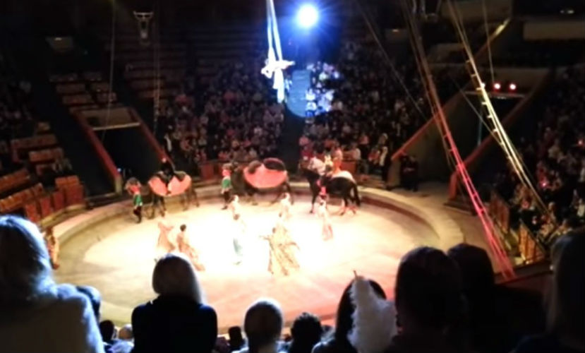 Воздушная гимнастка упала с высоты и разбилась в цирке Кирова 