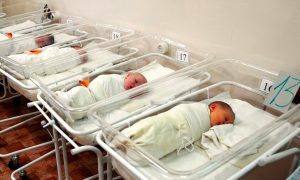 Умершие в перинатальном центре Орла восемь младенцев не страдали общей болезнью