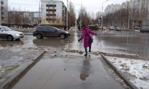 Россию поразили положительные аномалии - в феврале будет теплее на 10-18 градусов