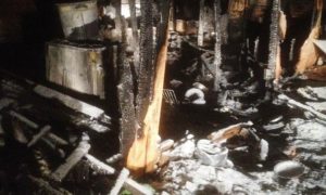 В сгоревшем приюте для собак погибли питомцы