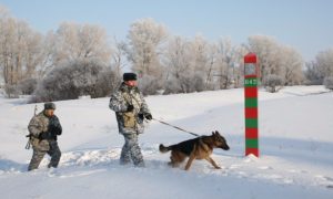 Российские пограничники поймали украинского военного в Ростовской области