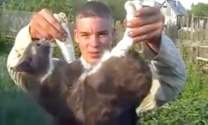 Четверо подростков взорвали кошку Лушку в Рязани и сняли на видео