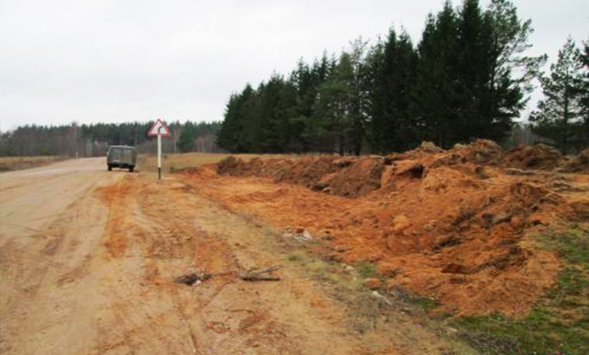 Разложившиеся останки 12 детей обнаружили у трассы в Псковской области 
