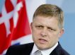 Исполнитель перестарался: депутат Боснии и Герцеговины назвала заказчиков покушения на премьера Фицо