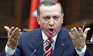 Эрдогана разыграли российские пранкеры, которые назвались Порошенко и Яценюком