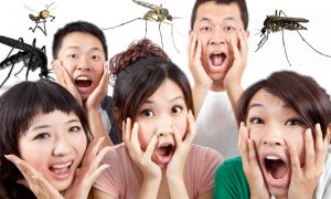 Китайцы перебьют всех комаров для защиты от лихорадки Зика