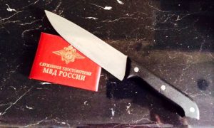 «Я бы их сама по кускам разрезала»: мать желает отомстить подонкам, зарезавшим её сына в Москве