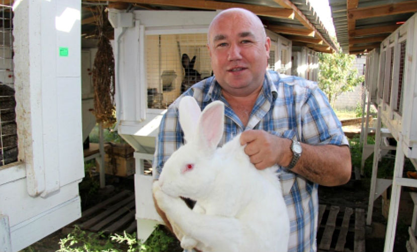 Кролики принесли миллионный доход жителю Липецкой области 
