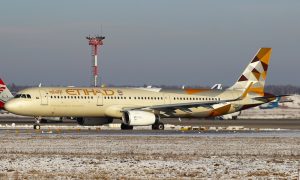 Попытки реаниматологов аэропорта Домодедово спасти пассажирку лайнера Etihad оказались тщетными