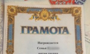 Грамоты с украинским гербом вручили воспитанникам детского сада в Барнауле