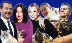 Топ-5 домашних питомцев, с которыми отпраздновали День кошек российские звезды