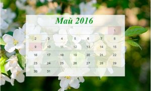 Россиянам напомнили, что на майские праздники будет 7 выходных дней