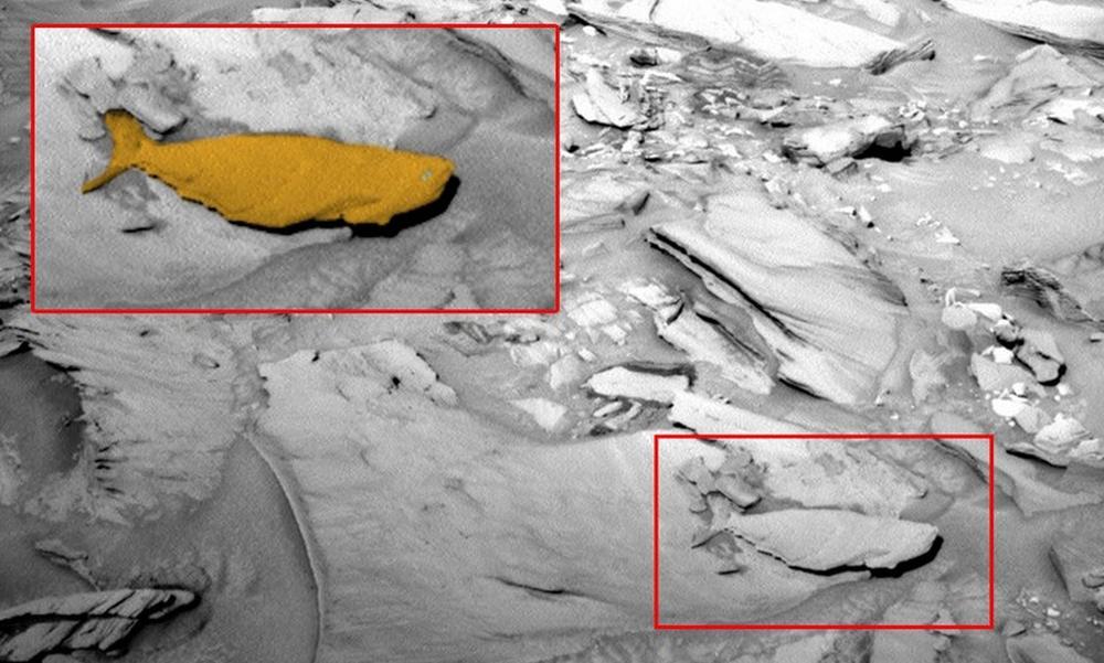 Сенсационные фото «лосося-гуманоида» на Марсе опубликовал знаменитый уфолог 