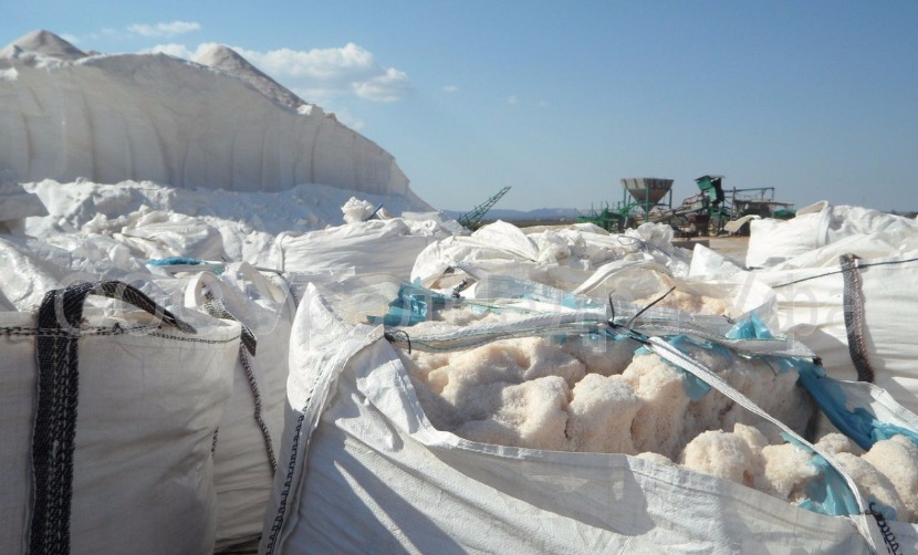 ФАС случайно раскрыла покупку Чайкой соляного рудника в Сибири 