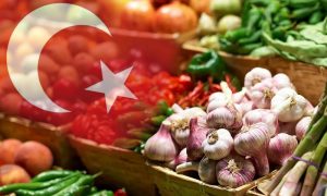 Россельхознадзор заявил о намерении ввести запрет на всю растениеводческую продукцию Турции