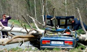 Два дерева упали на машину с людьми на трассе в Пензенской области: есть жертвы