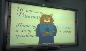 Сбой Кота Ученого, царь от Жириновского и запятые от «Comedy баттл»: курьезы «Тотального диктанта»