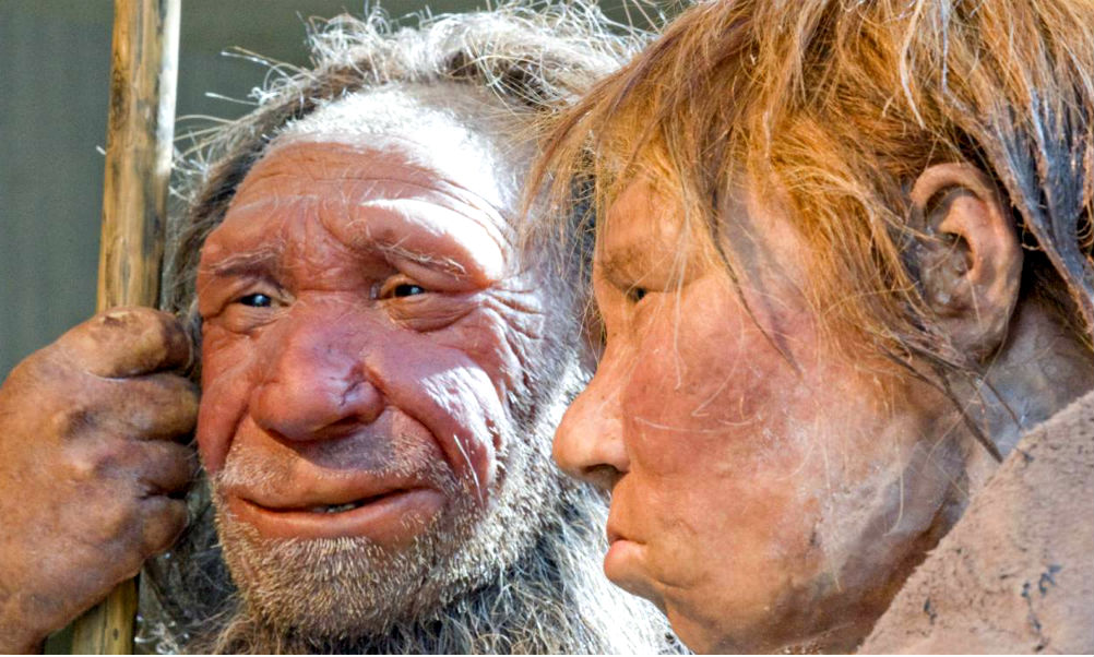 Секс с людьми оказался смертельным для неандертальцев, - ученые 