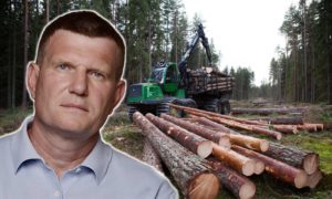 Депутат Госдумы потребовал отправить на лесоповал фальсификаторов праймериз