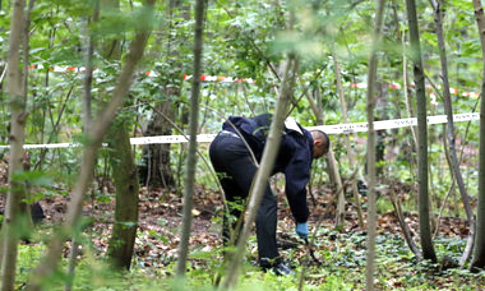 Парень убил 13-летнюю школьницу на прогулке в лесу под Архангельском 