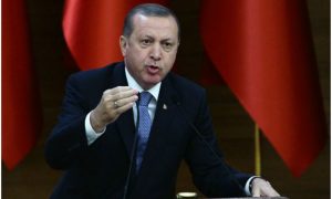 Эрдоган заявил об организации в Турции референдума по вступлению в ЕС