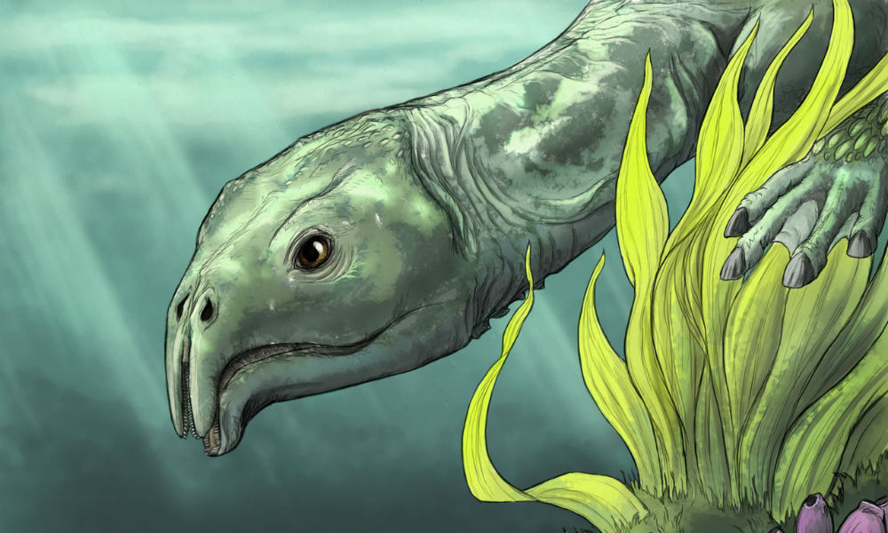 Самого древнего и странного морского динозавра-вегетарианца нашли ученые 