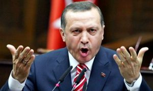 Эрдоган обвинил Запад в заботе о секс-меньшинствах и китах вместо помощи сирийцам