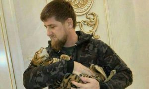Кадыров с горечью сообщил в социальной сети о пропаже любимого 