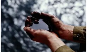 Коллапс продолжается: цена на нефть Brent упала до уровня 2002 года