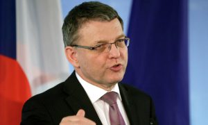 Глава МИД Чехии обвинил Россию в попытках развалить Евросоюз