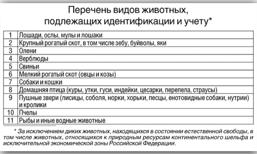 Списки подлежащих. Перечень видов животных подлежащих идентификации и учету. Идентификация учет животных и идентификация. Учёт и идентификация свиней. Перечень сельскохозяйственных животных Минсельхоз.